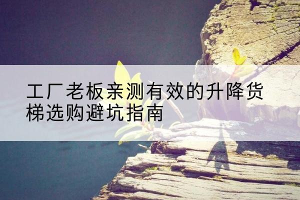 安康升降货梯怎么选-工厂老板亲测有效的升降货梯选购避坑指南