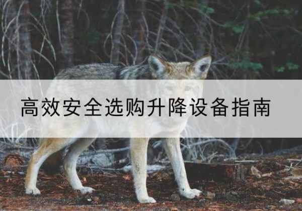 安康升降货梯厂家推荐-*安全选购升降设备指南