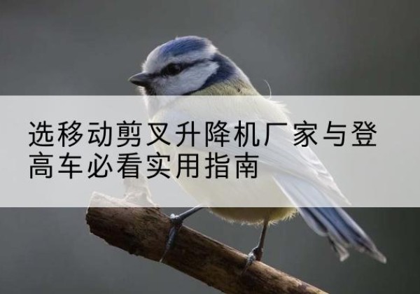 安康电动升降机厂家-选移动剪叉升降机厂家与登高车必看实用指南