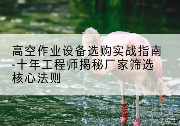 安康剪叉式升降机厂家-高空作业设备选购实战指南-十年工程师揭秘厂家筛选核心法则