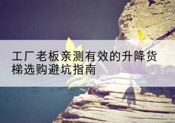 安康升降货梯怎么选-工厂老板亲测有效的升降货梯选购避坑指南